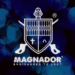 Logo of magnador, who provide security gates and burglar bars across south africa