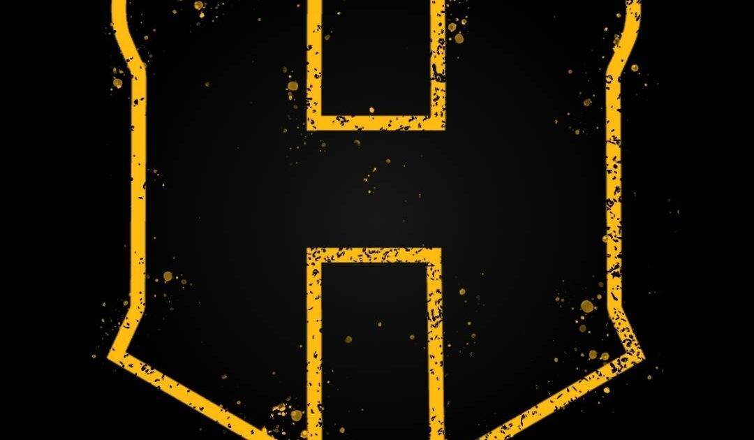 Logo of hammer training systems, a personal trainer in cape town, run by nick slabbert.